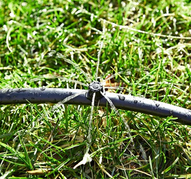 Tropf- und Microbewässerung