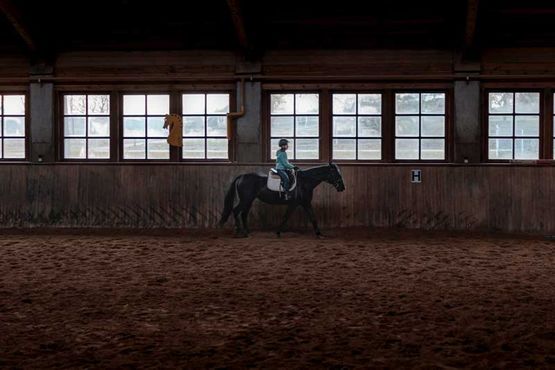 Beregnung von Reitplätzen und -hallen